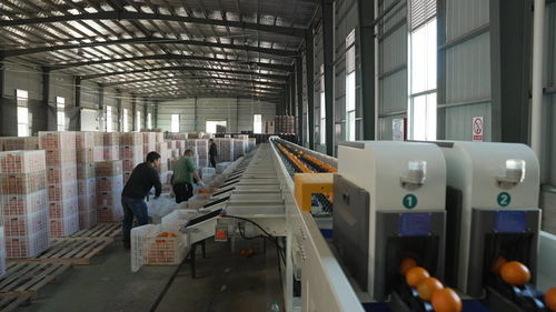 菜鸟物流科技下乡，助力寻乌农产品进城与快递进村，自动化与生物化工技术研发再上新阶