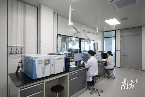 金湾生物医药产业研究院试运营 打造全链条新药研发服务新引擎