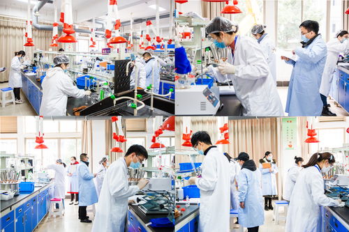 2022年省职业院校技能大赛高职生物与化工类化学实验技术项目在我校圆满举行，聚焦生物化工产品技术研发