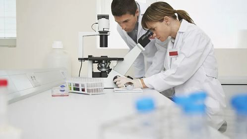 化学、化工与生物化工专业就业前景分析